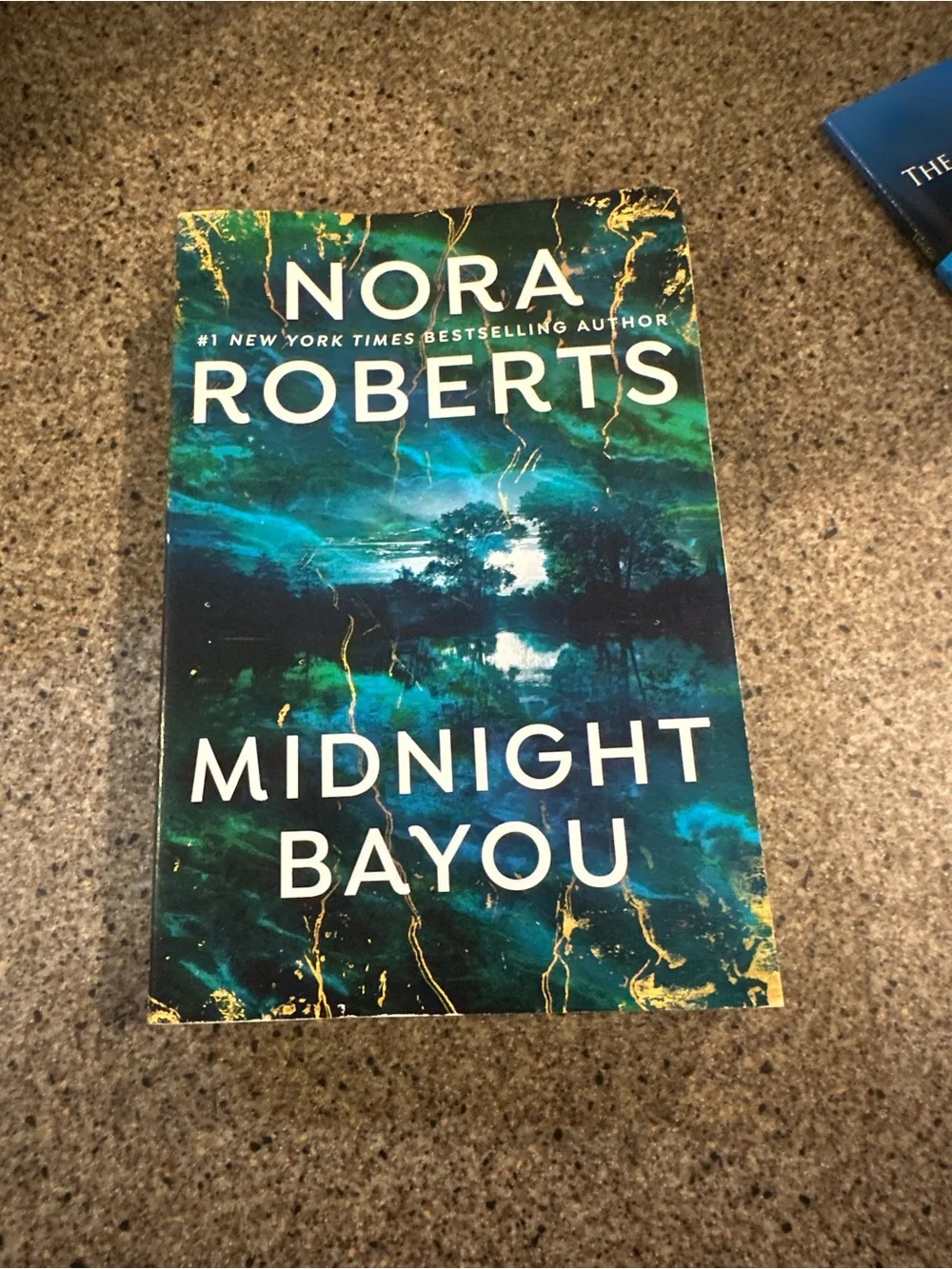 Midnight Bayou Decorative Book Cover in Teal and Black